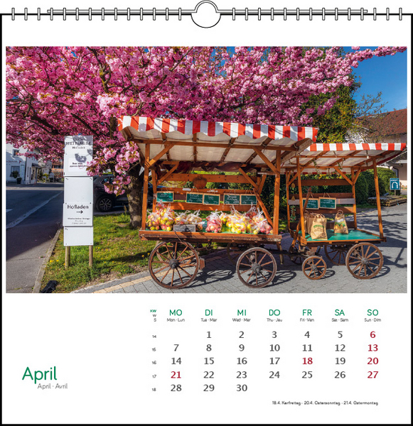 Östlicher Bodensee 2025, Tischkalender Stadler Verlag Kopie