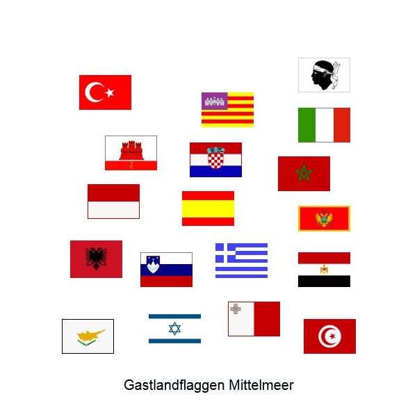 Gastlandflagge Slowenien, 20 x 30 cm